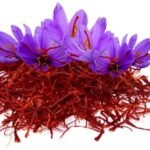 whatsapp image 2026 03 20 at 3.52.25 pm (3)